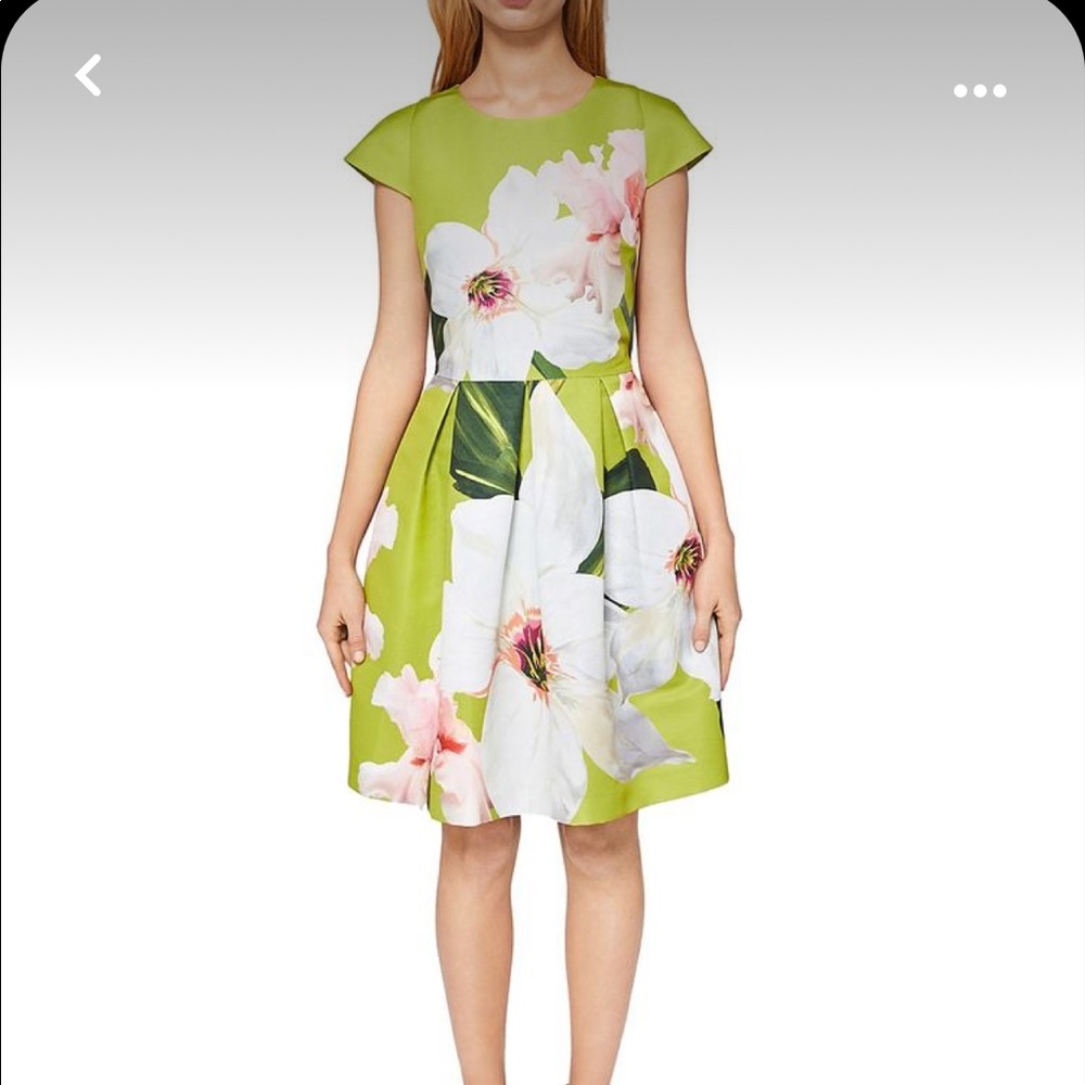 Ted Baker London | Lynetta Skater Dress in Chatsworth Bloom